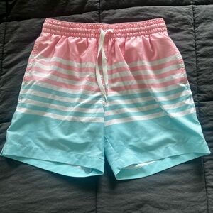 Chubbies Men’s Pink Blue Striped swimming trunks